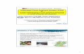 Integrated Flood Analysis System (IFAS) · Integrated Flood Analysis System IFAS ... Coverage N60 - S60 ... Self-corrected GSMaP Raw GSMaP Large ...