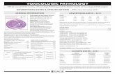 Toxicologic PaThology - SAGE Publications Pathology and the British Society of Toxicological Pathologists description: Toxicologic Pathology focuses on the multidisciplinary elements