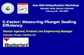E-Factor: Measuring Plunger Sealing Efficiency - ALRDC · E-Factor: Measuring Plunger Sealing Efficiency ... each plunger to calculate pressure drop ... WFT Plungers Tested