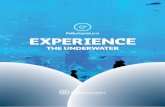 EXPERIENCE - aqua-parks.com€¦ · the success of the attraction centers is hidden in this deep setup developed based on experience. ... “Imagine a large open air oceanarium full