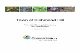 Town of Richmond Hill - trca.ca · Figure 2: Silver Maple Organic Deciduous Swamp (SWD6-2)..... 18 Figure 3: Fringed polygala ...