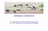 BIBLE BIRDS - Catholic Catechist BIRDS A simple ... birds (feathers, warm blooded, wings, prehensile feet-legs, hollow-pneumatised and lightweight ... OREB means both crows and ravens.