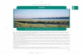 ASSAM - IBCNibcn.in/wp-content/uploads/2015/05/Assam.pdf · Assam has many habitat types that are important for many ... future as a result of the loss and degradation of lowland