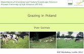Grazing in Poland - European Grassland Federation EGF · Romanov sheep, iv/ Blanc du Massif Central sheep •Forage from the pasture was the only feed, additionally the fresh water