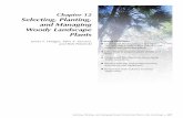 Chapter 12 Selecting, Planting, and Managing Plantsmedia.clemson.edu/public/mg/mg_manual_pdfs/ch_12_selecting_plants… · Selecting, Planting, and Managing Woody Ornamental Plants