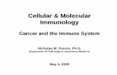 Cellular & Molecular Immunologynjms.rutgers.edu/gsbs/olc/mci/prot/2009/GradImm09Tumor.pdf · Cellular & Molecular Immunology ... Ability to break away from the original tumor mass