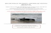 KILLER WHALE NECROPSY AND DISEASE TESTING PROTOCOL · KILLER WHALE NECROPSY AND DISEASE TESTING PROTOCOL Updated May 15, ... NECROPSY) TEAM)ROLES ... the recent report of West Nile