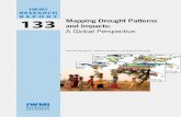 RESEARCH REPOR T 133 Mapping Drought Patterns · / drought / impact assessment / indicators / mapping / climate change / river basins / ... characteristics should reflect multiple