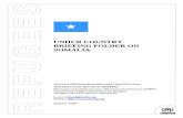 UNHCR COUNTRY BRIEFING FOLDER ON SOMALIA ... COUNTRY BRIEFING FOLDER ON SOMALIA STATUS DETERMINATION AND PROTECTION INFORMATION SECTION (SDPIS) DIVISION OF INTERNATIONAL PROTECTION
