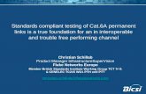 Standards compliant testing of Cat.6A permanent links is a ... · Standards compliant testing of Cat.6A permanent links is a true foundation for an in interoperable and trouble free