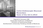 Colon Endoscopic Mucosal Resection: State of the Art in …chicagosgna.org/wp-content/uploads/2014/03/Colon-EMR-in-2015-1.pdf · Colon Endoscopic Mucosal Resection: State of the Art