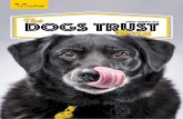 The DOGS TRUST Menu · Table manners at Dogs Trust Good manners may well cost nothing, but at Dogs Trust they are considered priceless. In order to help our dogs find