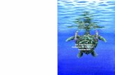 Sea Turtle Handling Guidebook for Fishermen …rac-spa.org/sites/default/files/doc_turtles/manuel_formateurs.pdfSea Turtle Handling Guidebook for Fishermen - Teaching Book 9 An outline