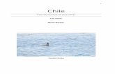 Chile - Home | CloudBirders Bird list: Lesser Rhea Rhea pennata Near-threatened (NT) Chile - 5/12/2013 - Putre et PN Lauca - ssp tarapacensis Chile - 6/12/2013 - PN Lauca - ssp tarapacensis