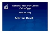NRC in Brief - comsats.org · Ancient Egyptian Mummies at the era of Ramses King. ...