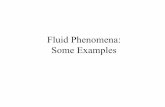 Fluid Phenomena: Some Exampleswind.mit.edu/~emanuel/fphysics/Intro_to_fluid_phenomena.pdf · Supernovae: Absorption of neutrinos produces shock wave that blows off envelope of gas.