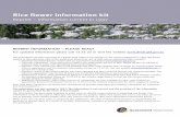 Rice flower information kit - eResearch Archiveera.daf.qld.gov.au/id/eprint/3091/1/Riceflower-markets1opt_Part1.pdfRice flower information kit Reprint – information current in 1997