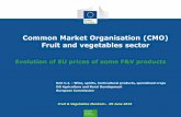 Common Market Organisation (CMO) Fruit and vegetables … · Common Market Organisation (CMO) Fruit and vegetables sector ... Directorate C. Single CMO, ... Slovakia 139.9 99.4 117.8
