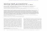 Nuclear HuR accumulation through phosphorylation by Cdk1genesdev.cshlp.org/content/22/13/1804.full.pdf · Nuclear HuR accumulation through phosphorylation by Cdk1 ... Proliferative