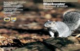 Blackwater gen broch · due to their competition for fish resources. The refuge woodlands provide year-round homes for owls, towhees, woodpeckers, nuthatches, woodcock and wild turkey.