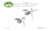South Australia Inc OF THE NATIVE ORCHID SOCIETY OF SOUTH AUSTRALIA INC. DECEMBER 2012 VOL. 36 NO 11 CONTENTS THIS JOURNAL Title Author Page Diary Dates 110 November Judging ...