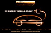 AN ENERGY METALS GROUP - savannahresources.com · Savannah Resources Plc | Portugal Lithium Project Presentation March 2018 AN ENERGY METALS GROUP ... Finance and Project Management