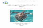 GUIDE TO THE AERIAL IDENTIFICATION OF SEA … TO THE AERIAL IDENTIFICATION OF SEA TURTLES IN THE U.S. ATLANTIC AND ... Guide to the Aerial Identification of Sea Turtles in ... calm