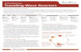 Traveling-Wave Reactors - uxc.comDesign Specific/TWR/Other Documents... · 2001 Hiroshi Sekimoto begins a series of conceptual studies of various kinds of TWRs The Future of Nuclear