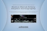 AIUM Practice Parameter for the Performance of Native ... Renal Artery ... use of ultrasound in medicine through professional and public education, research, development of parameters,
