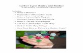 Carbon Cycle Stories - Biochar eBooks Cycle Stories.pdf · 2013-03-03 · Carbon’Cycle’Stories’and’Biochar’–’Biochar4eBooks.com’ 2" CarbonCycleStoriesandBiochar What’is’Biochar?