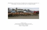 Red Meat and Poultry Production and Consumption in ... Meat and Poultry Production and Consumption in Ethiopia and Distribution in Addis Ababa Abbey Avery Borlaug-Ruan World Food Prize