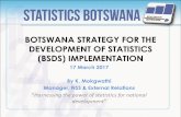 BOTSWANA STRATEGY FOR THE ... - Statistics .DEVELOPMENT OF STATISTICS (BSDS) IMPLEMENTATION ... Mandate