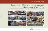 2010 - 2011 Human Development Sector Profile€¦ · Human Development Sector Profile ... the labor market. Education Overview. 3. ... Java Provincial health officeand Bandung, Bogor