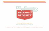 Energy Storage 101 - Energy Transition Labenergytransition.umn.edu/.../uploads/2015/08/Energy-Storage-101.pdf · Energy Storage 101 A Quick-Reference Handbook Prepared By The Energy