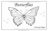 - Color Your Owncolor-your-own.com/free_e_coloring_books/Butterflies Coloring Pages... · Interested in purchasing more great eBooks like this one? Visit us online at