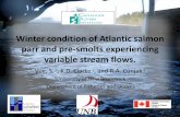 Winter condition of Atlantic salmon parr and pre-smolts … · Winter condition of Atlantic salmon parr and pre-smolts experiencing variable stream flows. Vue, S. 1, K.D. Clarke 2,