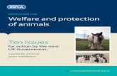 IMPROVING THE Welfare and protection of animals Ten …politicalanimal.org.uk/wp-content/uploads/2014/09/GE-manifesto... · Welfare and protection of animals . ... important sales