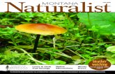 Fall 2005 Natura MONTANAlist - Montana Natural History … · Natura MONTANAlist Fall 2005 Features 4 Ethnobotany Annie Mad Plume Wall shares her ... Meriweather Lewis and William