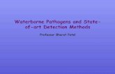 Waterborne Pathogens and State- of-art Detection Methodstrishul.sci.gu.edu.au/pg_courses/7221BPS_AMM/lecture_part1.pdf · Waterborne Pathogens and State-of-art Detection Methods ...