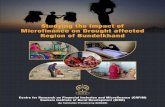 Studying the Impact of Microfinance on Drought affected Region … · Microfinance on Drought affected Region of Bundelkhand Centre for Research on Financial Inclusion and Microfinance