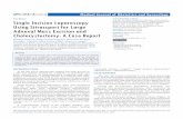 Single Incision Laparoscopy Using Sitraccport for Large ... · Cholecystectomy: A Case Report. Marina Fistarol. 1, Paola Gaston Giostri , Maurício Bechara Noviello. 1 ... and emerges