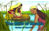 The Birth of Moses - Mission Bible Class · She was making a basket that could float. Birth of Moses  11. ... until he was big enough to live in the palace with the princess.