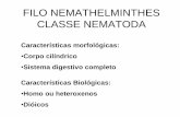 FILO NEMATHELMINTHES CLASSE NEMATODA - lipp … · FILO NEMATHELMINTHES CLASSE NEMATODA Características morfológicas: •Corpo cilíndrico •Sistema digestivo completo Características