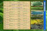 Chamaecyparis - Falsecypress · Chamaecyparis - Falsecypress ... Prefers full sun. ... Dark Green Cedar Thuja occidentalis ‘Nigra’ Height: 10 ...