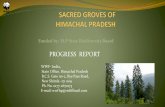 PROGRESS REPORT - hpbiodiversity.gov.in groves of Himachal (Progress... · To broadly look at conservation measures ... Field survey Land Records to ... (activities Kabbadi and volleyball)