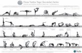 Prana Vashya Yoga | Secondary Series · Prana Vashya Yoga | Secondary Series The dynamic yoga of Yogacharya Vinay Kumar of Mysore, India – Prana Vashya Secondary Series is commenced