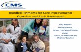 Bundled Payments for Care Improvement: Overview and … · Bundled Payments for Care Improvement: Overview and Basic Parameters ... Monthly beneficiary-level claims data ... Bundled