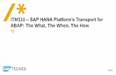 ITM110 SAP HANA Platform’s Transport for · Public ITM110 – SAP HANA Platform’s Transport for ABAP: The What, The When, The How