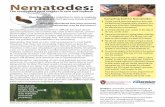 Nematodes - Integrated Pest and Crop Managementipcm.wisc.edu/download/pubsPM/SCN_FINAL.pdf · Have you considered that plant parasitic nematodes may be the reason? Recognizing a nematode