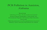 PCB Pollution in Anniston, Alabama - Commonweal .PCB Pollution in Anniston, Alabama Steven Lyon